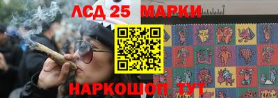 прущие грибы Комсомольск-на-Амуре