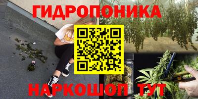 амф Берёзовский