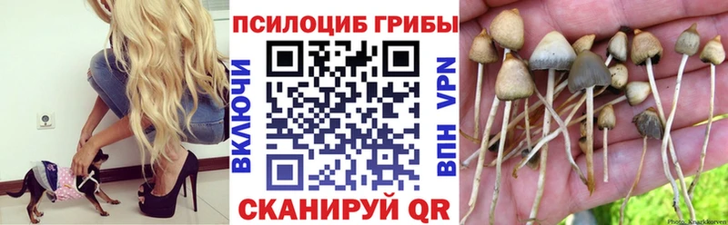 Галлюциногенные грибы Magic Shrooms  Новокубанск 