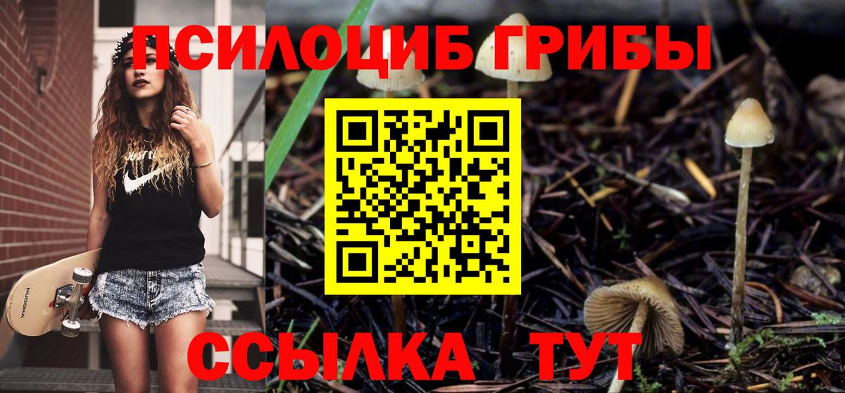 Бошки Шишки  ТГК  Меф МЯУ МЯУ   ЭКСТАЗИ  Вход с VPN  Метадон  Новокубанск  Cocaine 